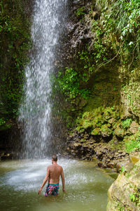 Rear view of waterfall in water