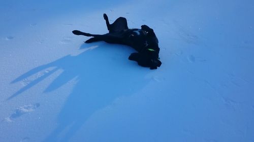 Man in snow against sky