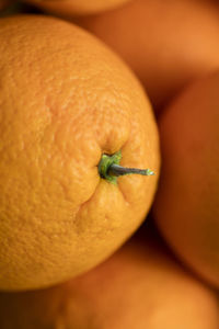 Close-up of orange