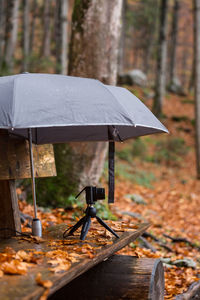 Umbrella on table in forest during autumn