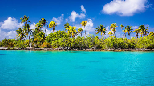 Scenic view of blue sea against sky