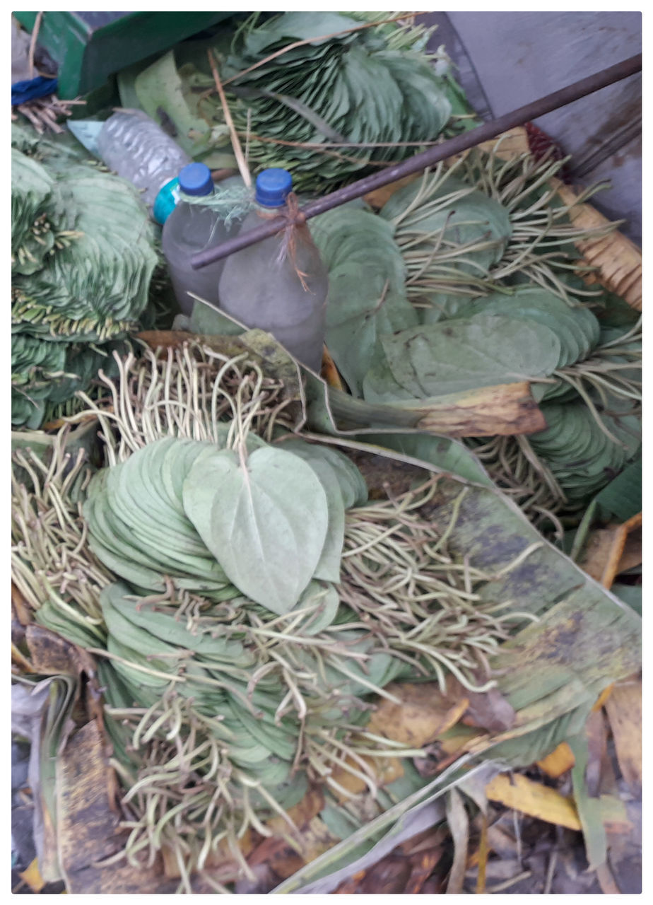 HIGH ANGLE VIEW OF POTTED PLANTS AT MARKET