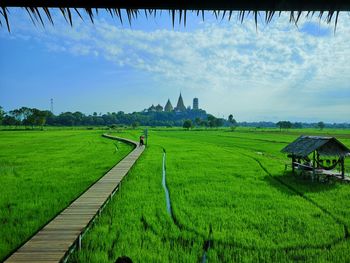 Scenic view of agricultural field against sky