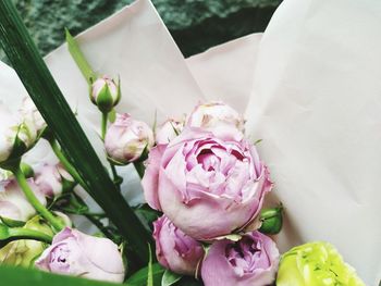 Close-up of pink roses