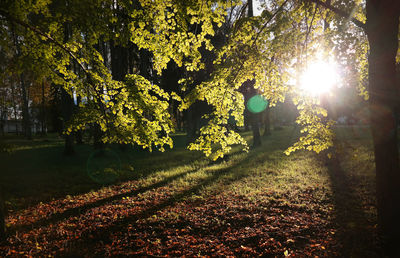 Silhouette of man on golf course