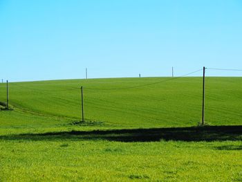 Scenic view of field against clear sky