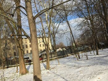 Bare trees on snow covered landscape