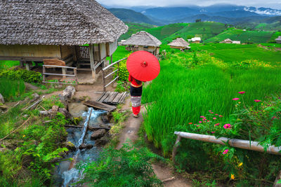 Rear view of woman with umbrella walking against field