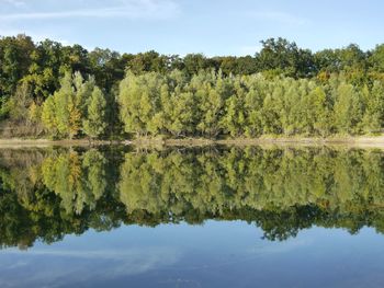 Reflection of trees in lake against sky