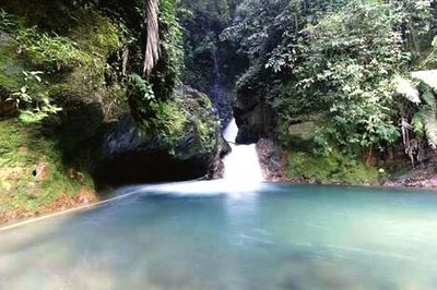 Stream flowing through rocks