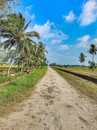 Road amidst palm trees on field against sky