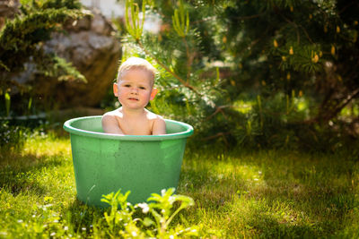 Portrait of cute boy sitting on grass