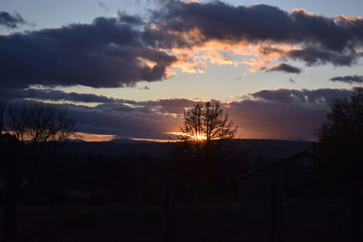 Silhouette trees against sky during sunset