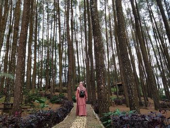 Woman standing amidst trees in forest