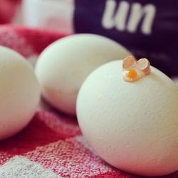 Close-up of eggs on table