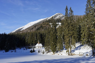 Snow covered land and trees against sky