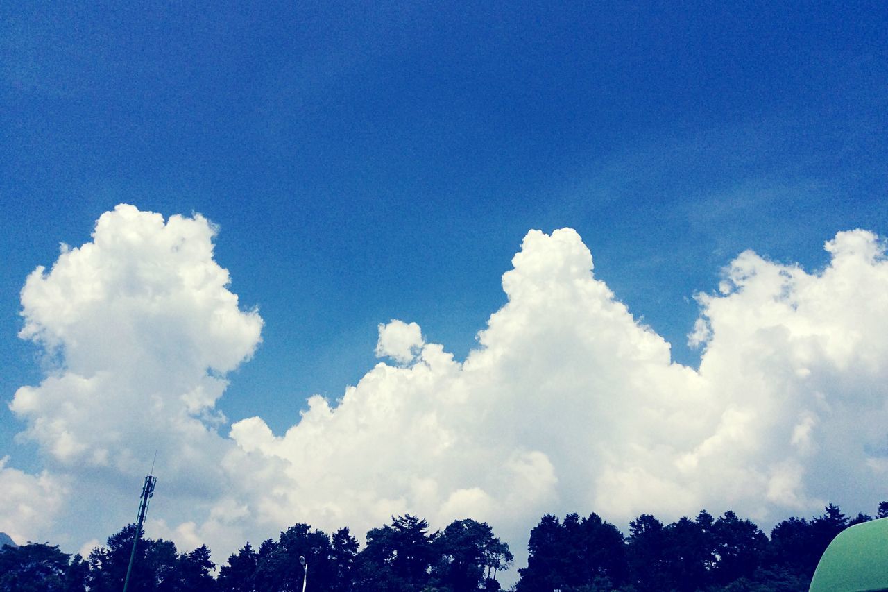 low angle view, blue, sky, beauty in nature, tree, nature, tranquility, scenics, cloud - sky, tranquil scene, high section, copy space, silhouette, cloud, outdoors, day, white color, no people, idyllic, growth