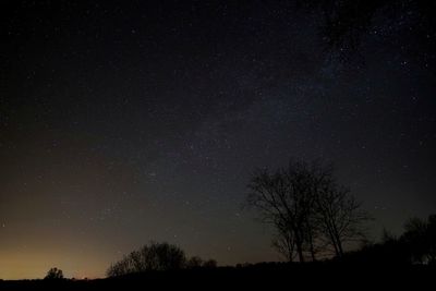 Low angle view of silhouette trees against star field at night