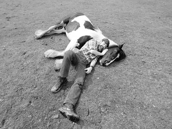 High angle view of man with horse lying on field