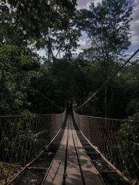 Footbridge amidst trees in forest