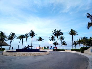 Palm trees on road against blue sky