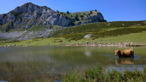 Scenic view of lake by mountain against sky