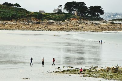 Scenic view of beach