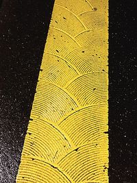 Close-up of yellow leaves against black background