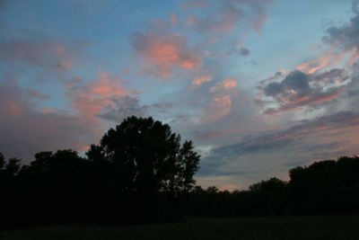 Silhouette trees on field against sky at sunset