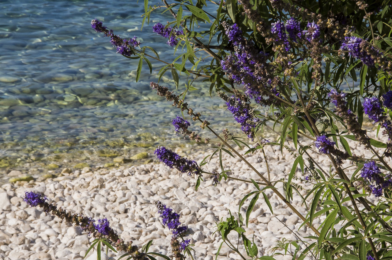 Kefalonia