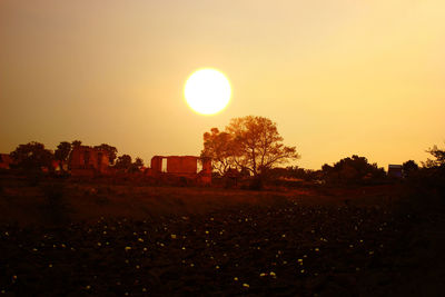 Silhouette trees on field against sky during sunset