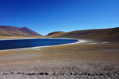 Scenic view of beach against clear blue sky