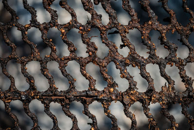 Full frame shot of rope on metal