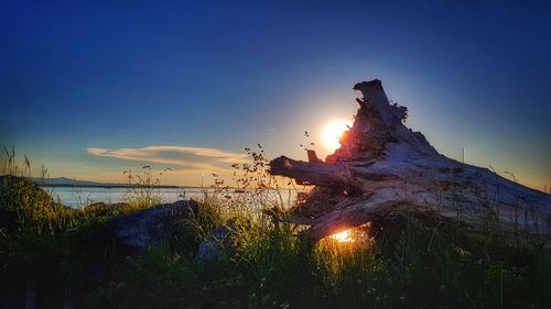 Scenic view of sky at night