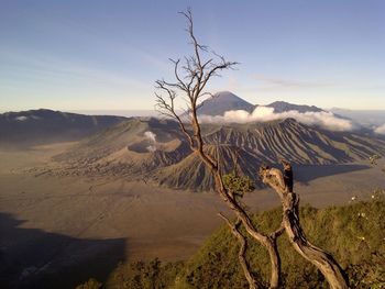 Scenic view of landscape