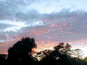 Low angle view of silhouette trees against sky during sunset