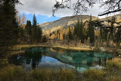 Reflection of trees in lake against sky