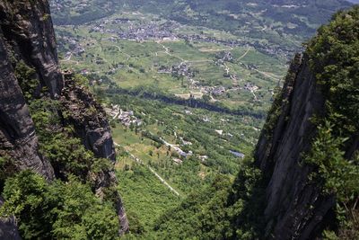 High angle view of agricultural field