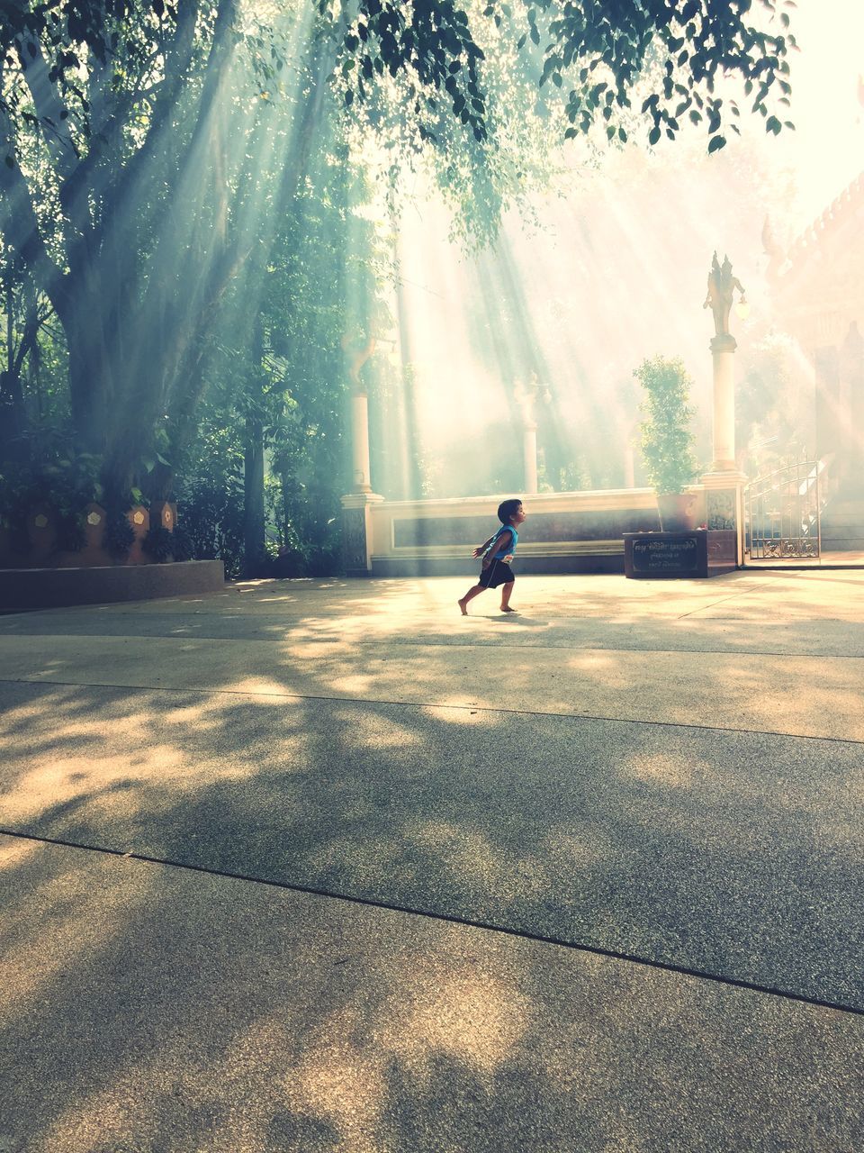 tree, lifestyles, full length, leisure activity, men, walking, rear view, street, motion, person, road, sunlight, transportation, fountain, unrecognizable person, the way forward, on the move, day