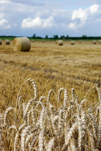 Hay bales on field against sky