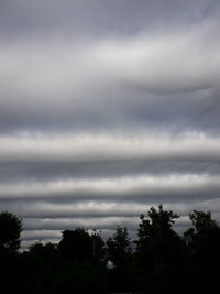 Low angle view of trees against cloudy sky