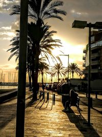 Silhouette of horse in city at sunset