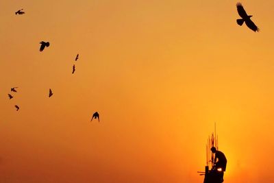 Low angle view of silhouette birds flying against orange sky