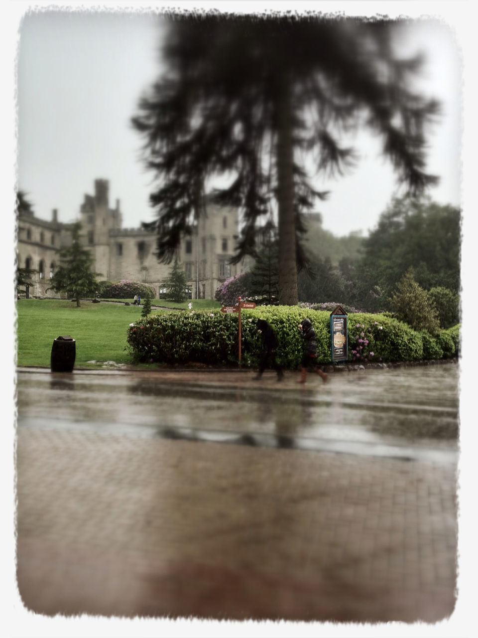 transfer print, building exterior, architecture, auto post production filter, built structure, tree, city, sky, growth, park - man made space, day, focus on foreground, outdoors, plant, selective focus, incidental people, palm tree, nature, building, green color