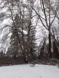 Bare trees on snow covered landscape