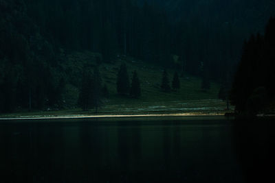 Scenic view of lake in forest