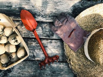 Directly above shot of potato gardening equipment on wooden table