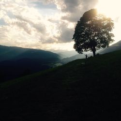 Trees on field against sky