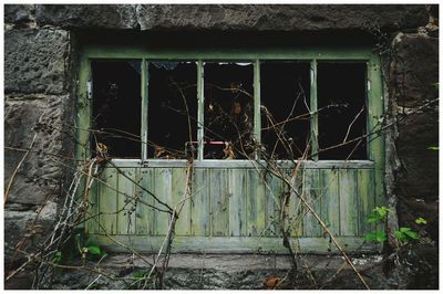 Abandoned window