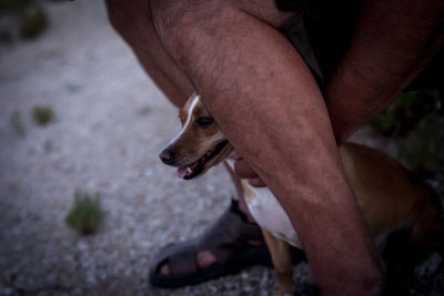 High angle view of dog on man